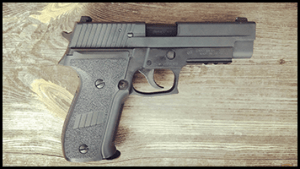 Read more about the article TM P226 <br> REVIEW